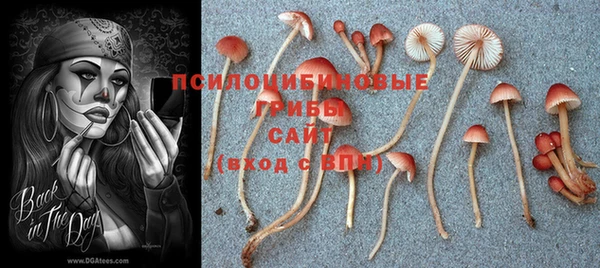 таблы Вязьма