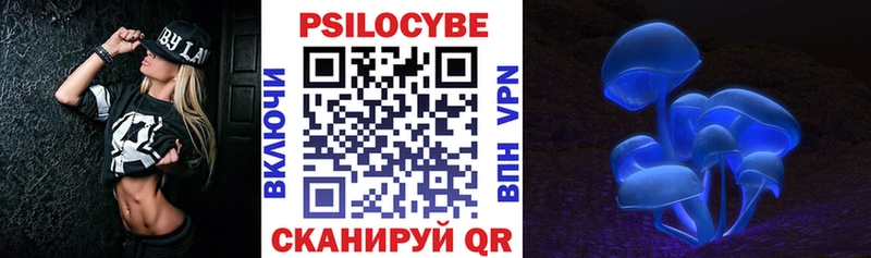 Галлюциногенные грибы Psilocybe  кракен tor  Михайлов 